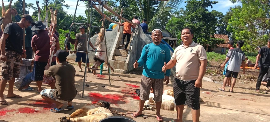 Rabu 27 Mei 2026 Proses Penyembelihan Hewan Kurban Di Kampung Cempaka Jaya 